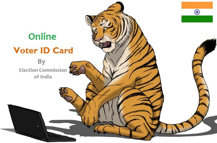 apply-for-voter-id-online-here-is-how-to-do-it-reckon-talk