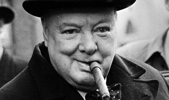 Фуксия winston churchill фото и описание