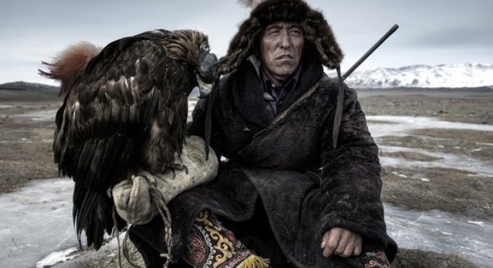 These Mongolian Golden Eagles Can Hunt Wolfs For You
