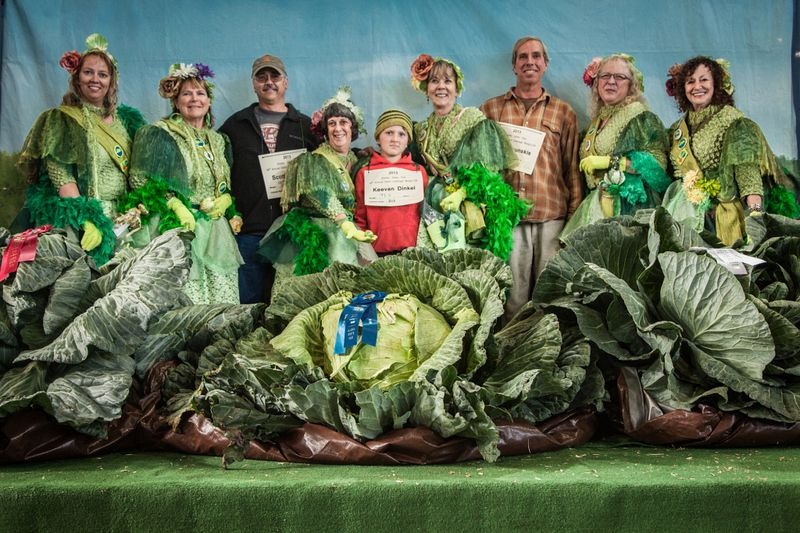 vegetables, gaint vegetables, alaska, big vegetables, Alaska State Fair, Palmer, agricultural show, Matanuska-Susitna Valley, big size, gaint size, Alaska's soil, fair, field, farmer, agriculture, crops, amazing, wow, great, awesome, mind blowing, unbelievable, extraordinary, wtf