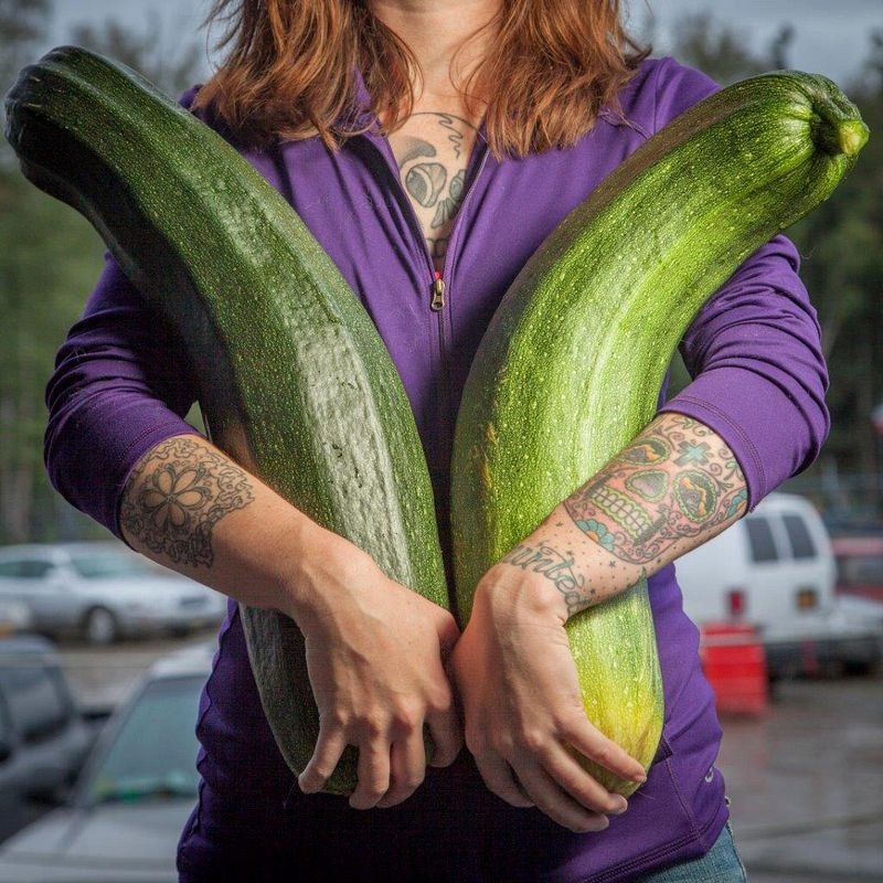 vegetables, gaint vegetables, alaska, big vegetables, Alaska State Fair, Palmer, agricultural show, Matanuska-Susitna Valley, big size, gaint size, Alaska's soil, fair, field, farmer, agriculture, crops, amazing, wow, great, awesome, mind blowing, unbelievable, extraordinary, wtf