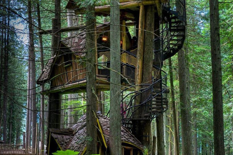 Top 30+ amazing TreeHouses architecture around the world | Reckon Talk