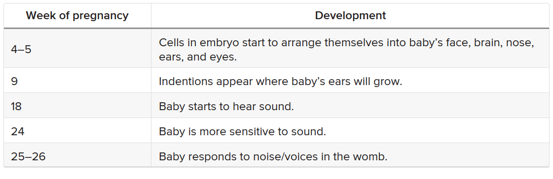 how often should you talk to your baby in the womb